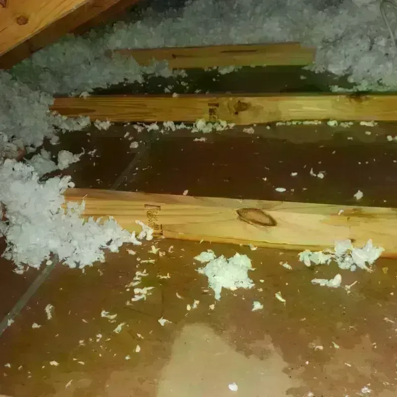 Attic Water Damage in Westfield, WI