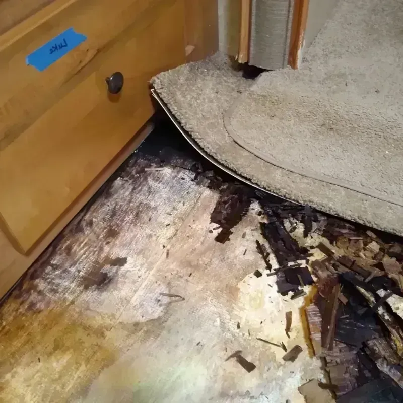 Wood Floor Water Damage in Westfield, WI